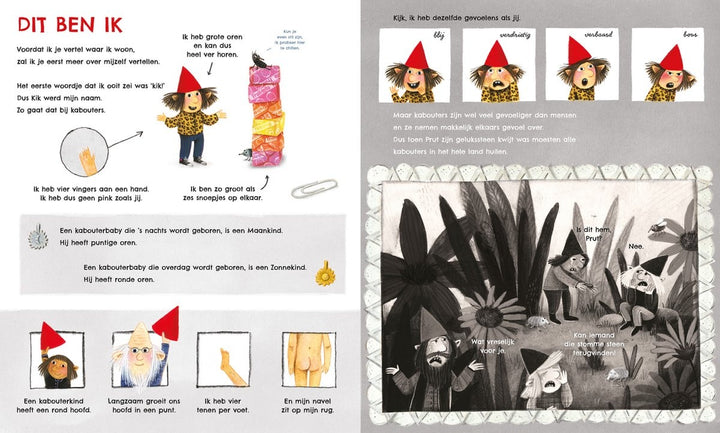 Het kabouterboek - Kidooz