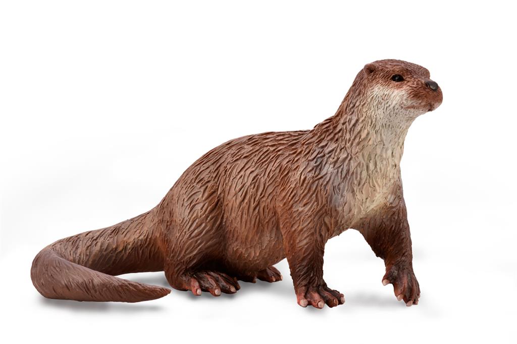 Otter