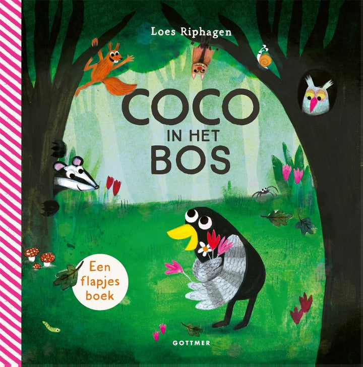 Coco in het bos