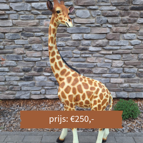 Beeld giraf 146 cm - Kidooz