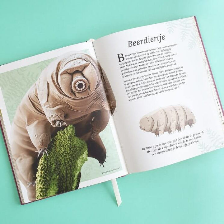 Het-dikke-boek-van-onze-bijzondere-natuur-3-744x744